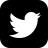 Twitter Icon